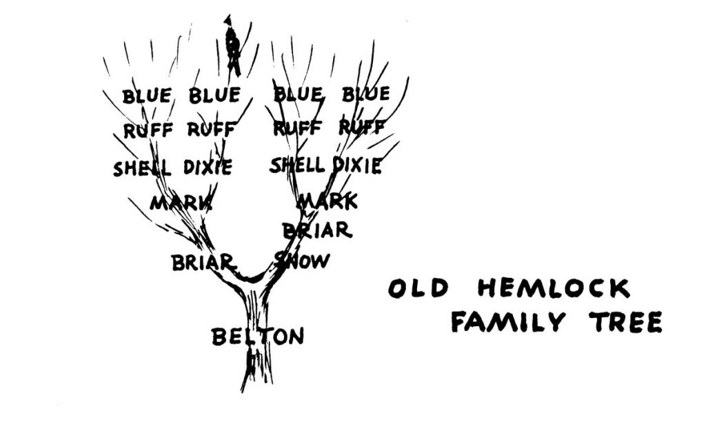 Old Hemlock Family Tree